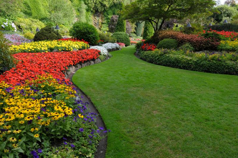 Professional Landscaping Maintenance in Beaumont CA 92223 Landscaping Maintenance in Beaumont CA 92223